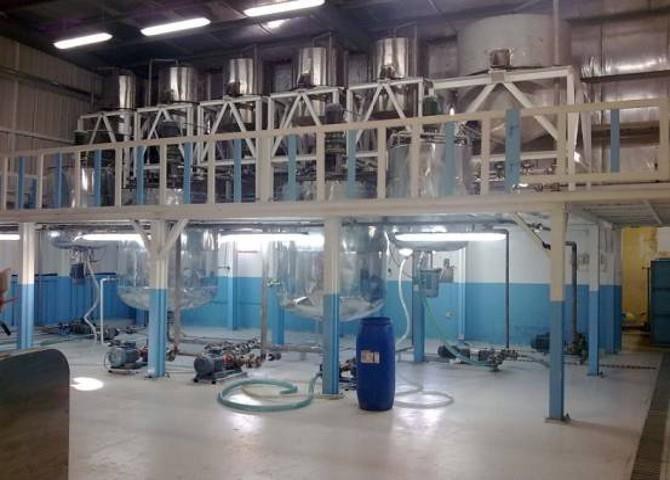 Liquid Detergent Production Plant
